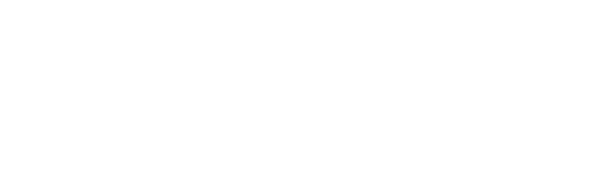 Avoya Travel